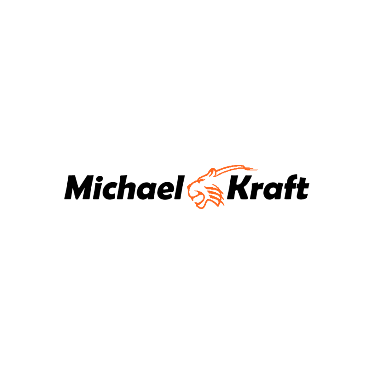 Michael Tiger Kraft Profitorwarttraining